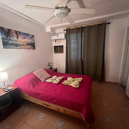 Hotel Tierra Verde Bed And Breakfast Bocas del Toro Exterior foto