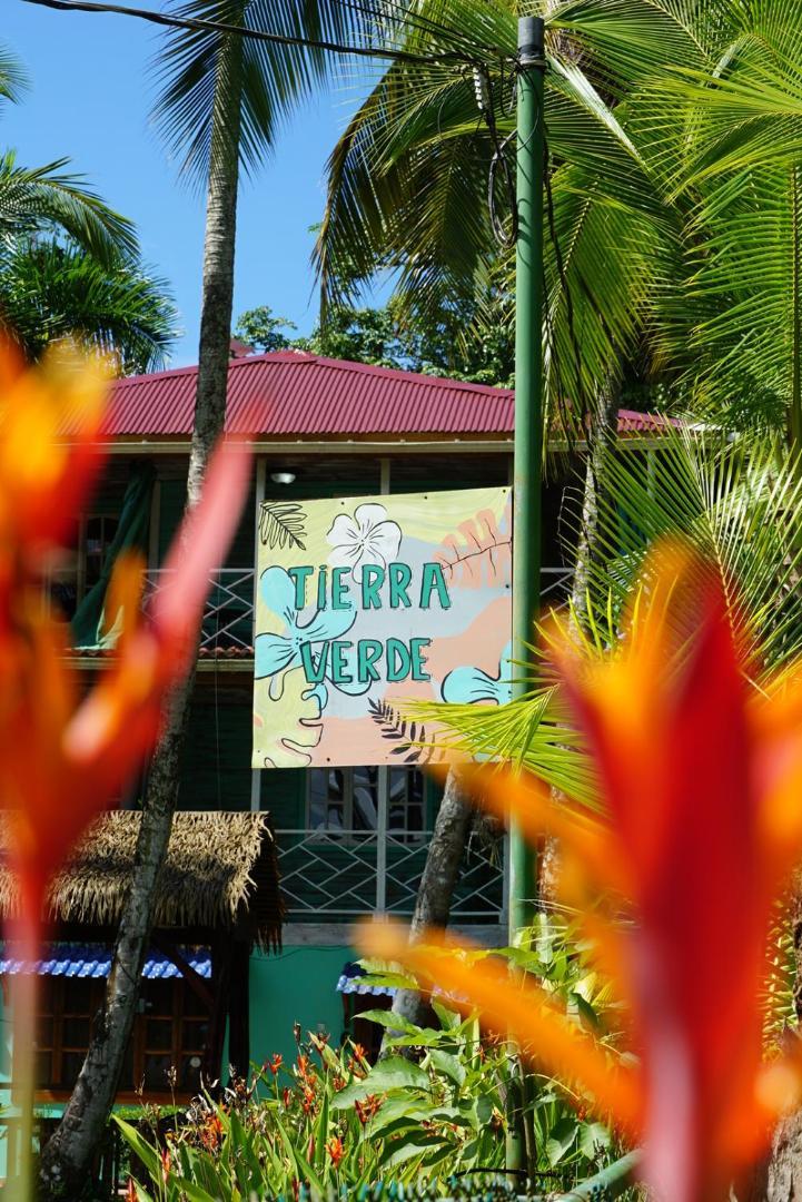 Hotel Tierra Verde Bed And Breakfast Bocas del Toro Exterior foto